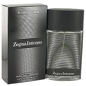ZEGNA INTENSO