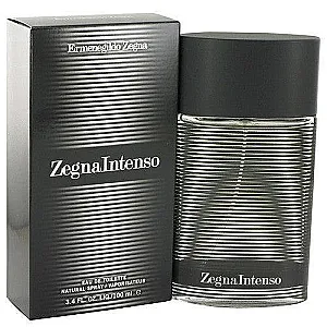 ZEGNA INTENSO